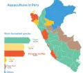 Aquaculture in Peru: harvested fish species 2022