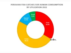 Peruvian fish catches for direct human consumption