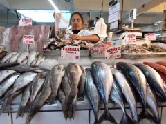 Fish market Peru