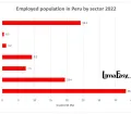 Employed population by economic sector in Peru 2022