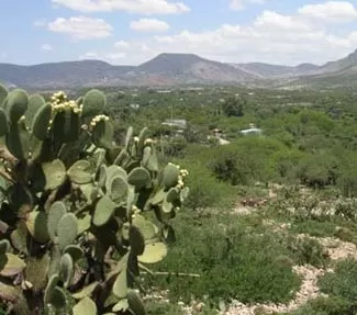 cieneguilla2 cieneguilla2