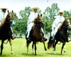 cieneguilla7 cieneguilla7