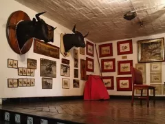 Bullfight Museum - Museo Taurino
