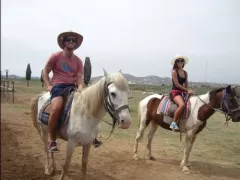 Haku Tours - Horse-Riding