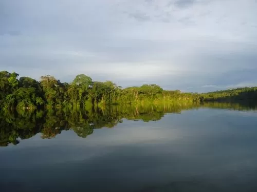 Peruvian Amazon Basin near Tambopata Peruvian Amazon Basin near Tambopata