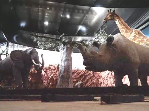 Imagination Park Lima - Animal World Imagination Park Lima - Animal World