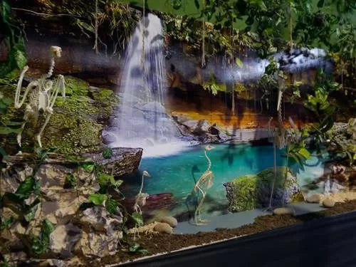 Interactive Imagination Museum Interactive Imagination Museum