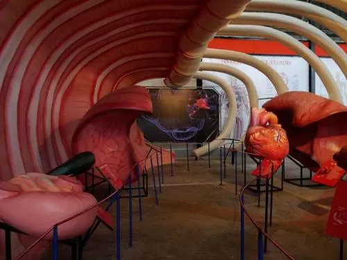 Parque de la Imaginacion, Lima - Human Body Parque de la Imaginacion, Lima - Human Body