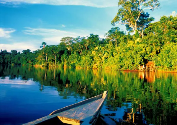 Manu National Park, Peru Manu National Park, Peru